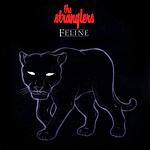Feline