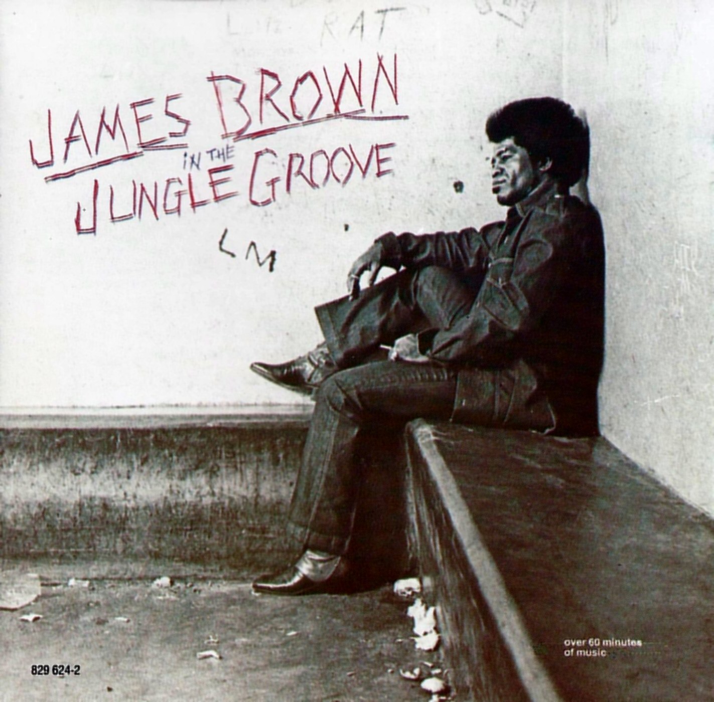 In the Jungle Groove