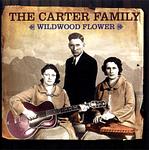 Wildwood Flower