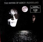 Floodland
