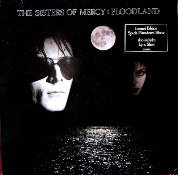 Floodland