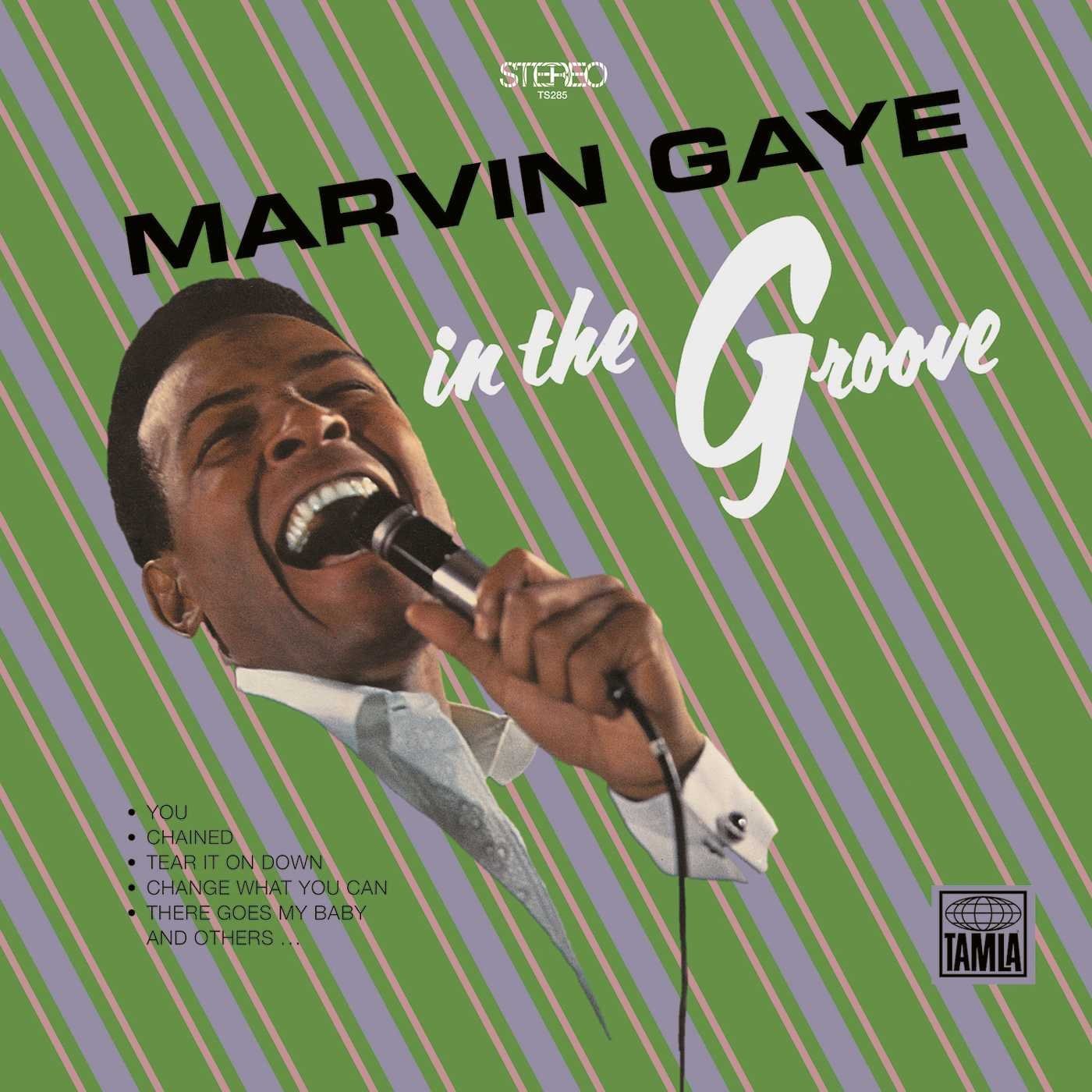 In the Groove